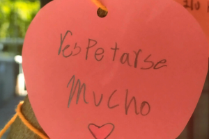 Alerta de concursos en Mes de la Convivencia Escolar Alerta de concursos en Mes de la Convivencia Escolar